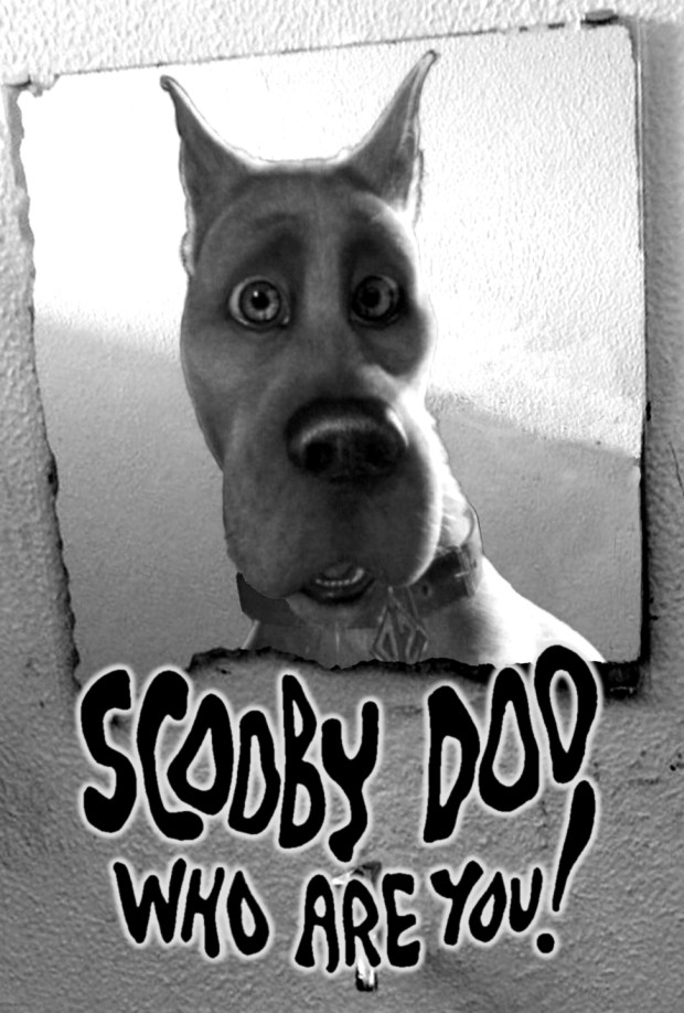 scoobydoowhoareyou_poster