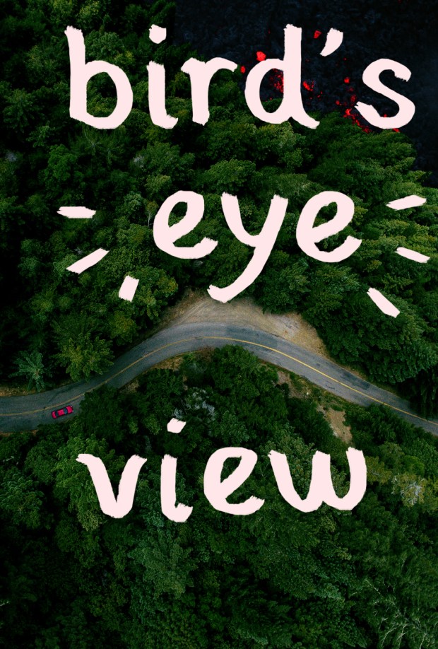birdseyeview_poster