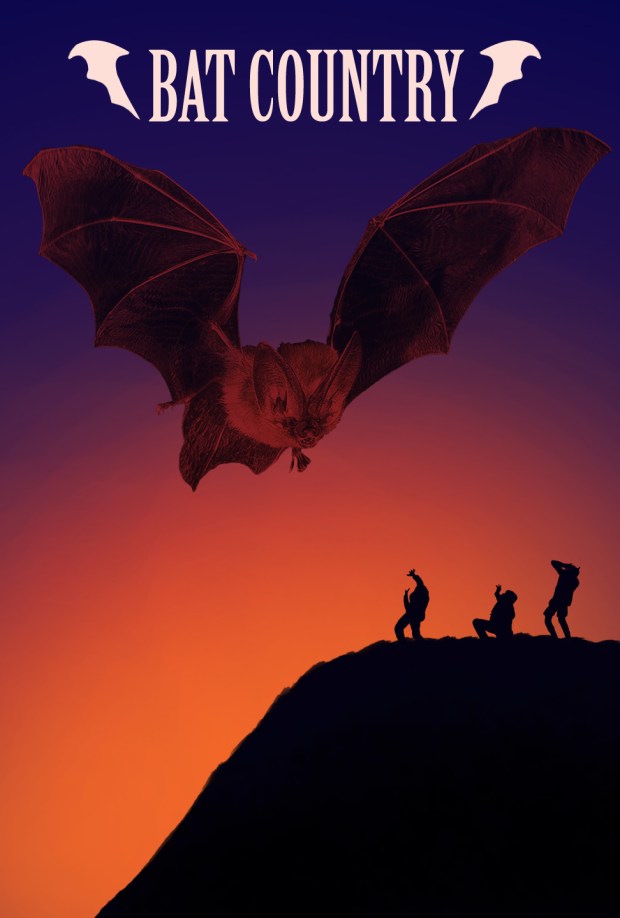 BatCountry_Poster