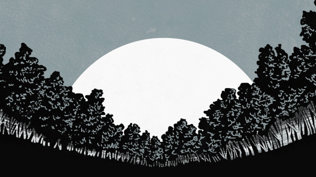 ch2cover_sunandtrees